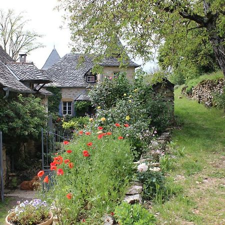 Les Terrasses De Labade Gite Et Chambres D'Hotes Coubisou Buitenkant foto