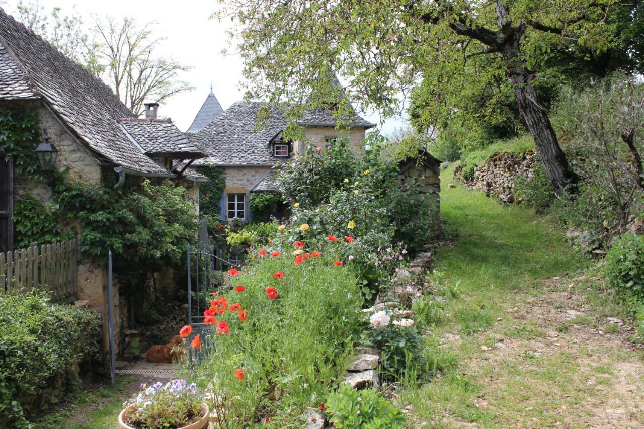 Les Terrasses De Labade Gite Et Chambres D'Hotes Coubisou Buitenkant foto