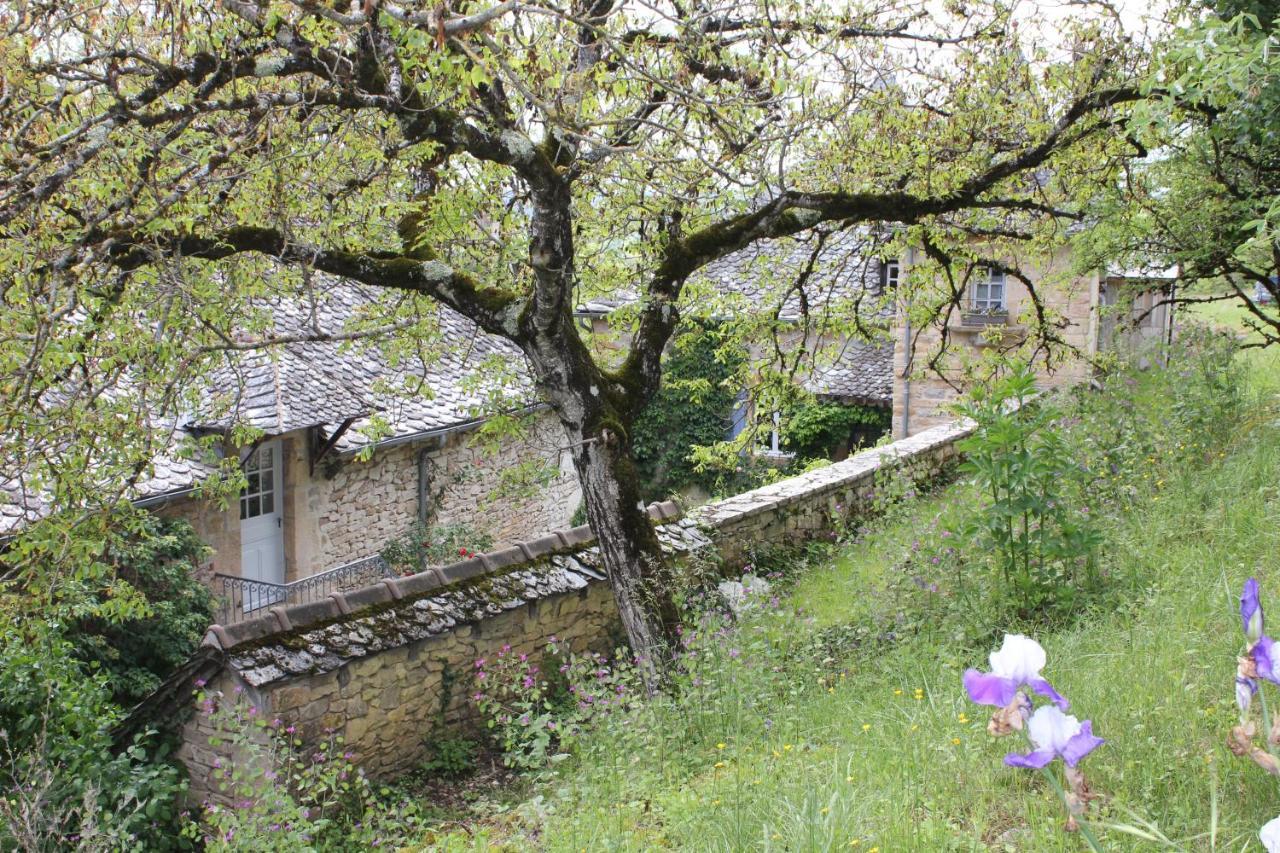 Les Terrasses De Labade Gite Et Chambres D'Hotes Coubisou Buitenkant foto